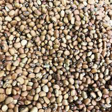 Djar Pesi 100 Gram