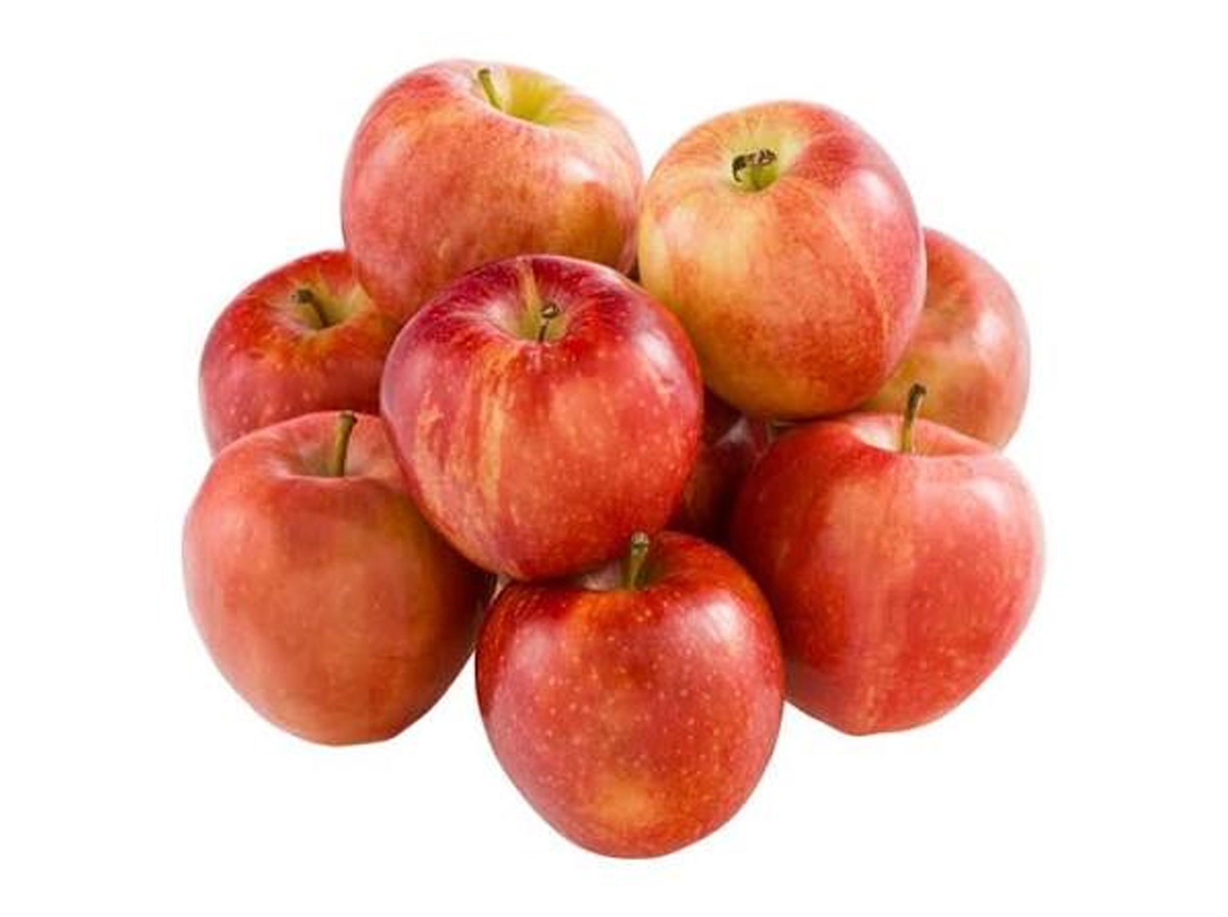 Gaia Appels