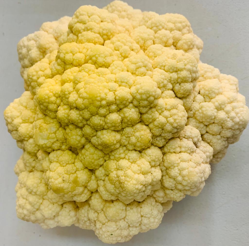 Bloemkool