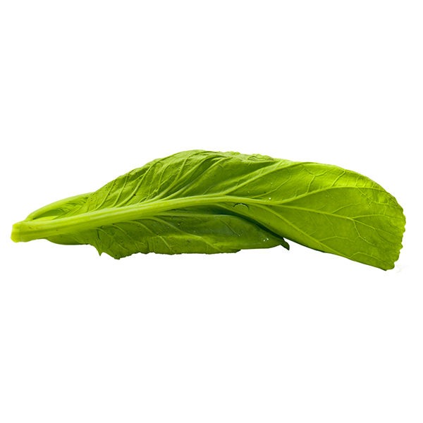 Kaisoi